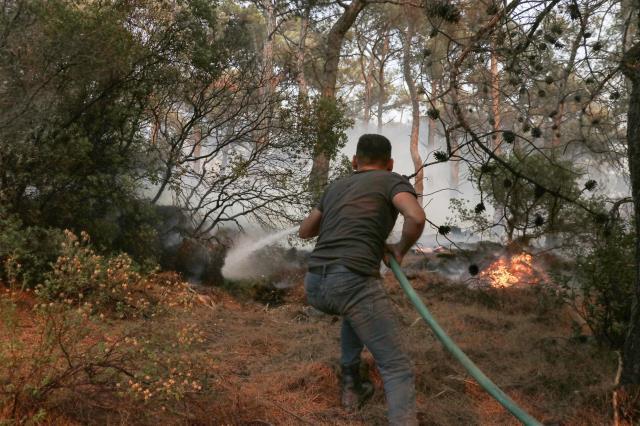 Son Dakika: Datça'daki orman yangını kontrol altına alındı, soğutma çalışmaları devam ediyor