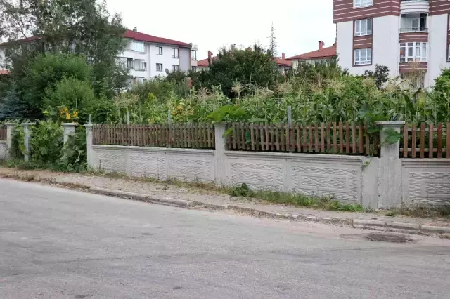 Bahçesinden mısır alan 3 kız çocuğunu tekme ve yumrukla darp etti