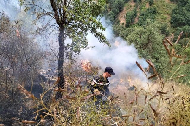 Cezayir'deki orman yangınlarında 26 kişi hayatını kaybetti