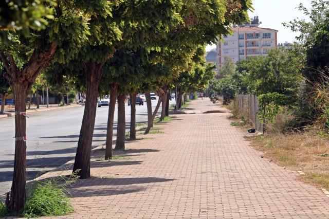 Antalya'da Afrika sıcakları! Termometreler 45 dereceyi gördü