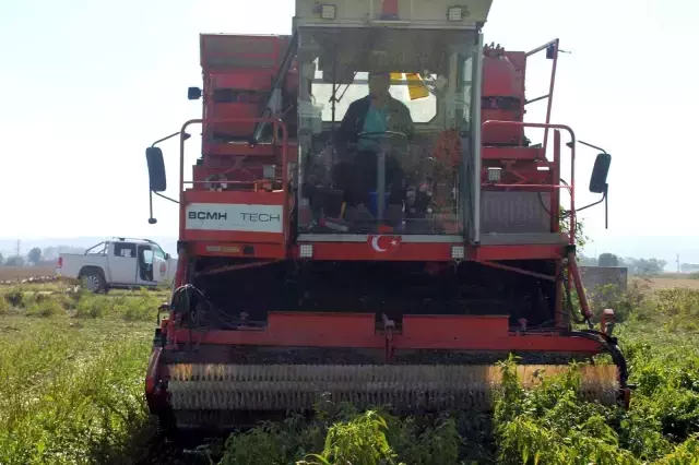 Türkiye'de ilk kez Bursa'da denendi, bu sayede işçi maliyetleri yüzde 90 düştü
