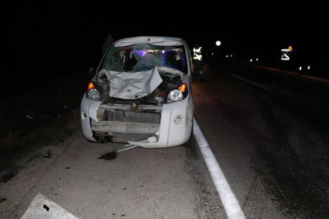 Yola çıkan at kazaya neden oldu: 15 yaralı