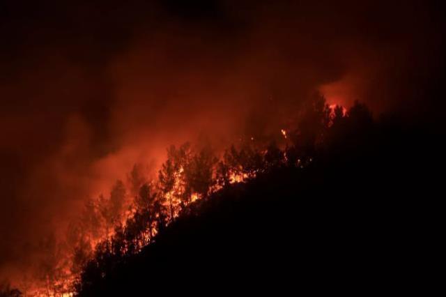 PKK terör örgütünün ateşi kendini yaktı! Teröristten video montajla büyük vurgun