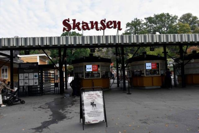 Dünyanın en zehirli yılanı kafesinden kaçtı! Tek ısırıkta kaç kişiyi öldürdüğü daha bilinmiyor