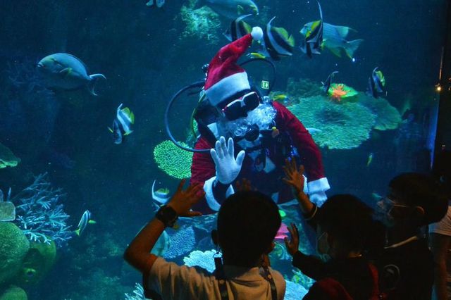 Tayland'da Su Altında Noel Baba Gösterisi Düzenlendi