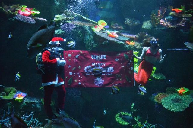 Tayland'da Su Altında Noel Baba Gösterisi Düzenlendi