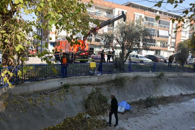 ZEYTİN TOPLAMAK İÇİN ÇIKTIĞI AĞAÇTAN DÜŞEREK ÖLDÜ