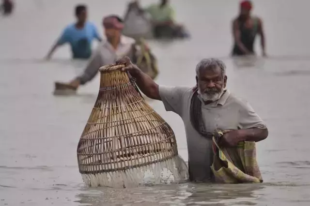 Hindistan'ın Assam Eyaletinde Bhogali Bihu Festivali İçin Toplu Halde Balık Tutuldu