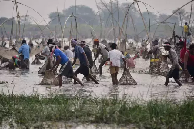 Hindistan'ın Assam Eyaletinde Bhogali Bihu Festivali İçin Toplu Halde Balık Tutuldu