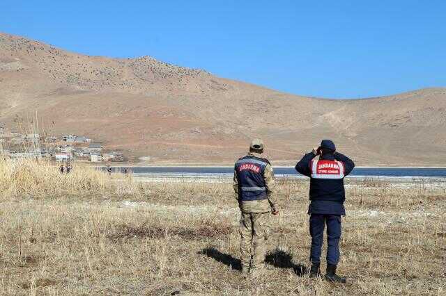 Jandarma nesilleri tükenme tehlikesiyle karşı karşıya kalan kuğular için nöbette
