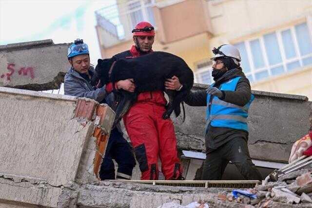 Son Dakika: 10 ili vuran depremde hayatını kaybedenlerin sayısı 29 bin 605'e yükseldi