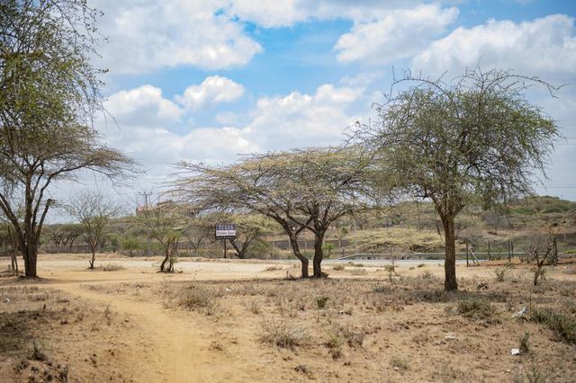 Kenya'da Kuraklık Hayvancılıkla Geçinen Maasaileri Vurdu