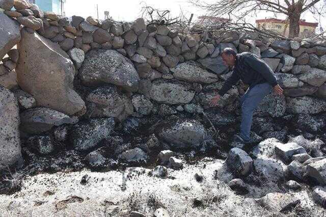 Şırnak'ta tırtıl istilası! Ekinler dahil köyün her tarafına yayıldı, çocuklar okula gitmeye korkuyor