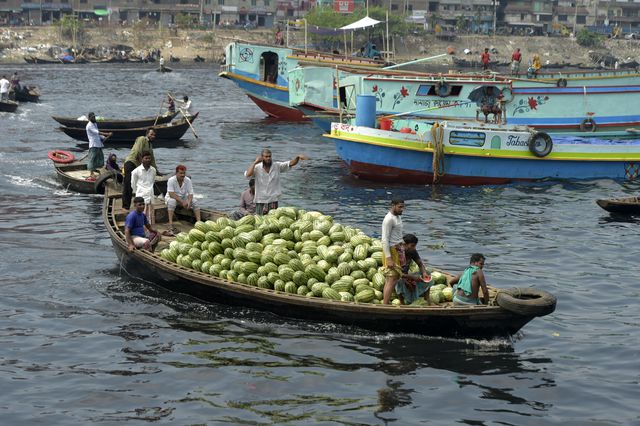 Bangladeş'te Hasat Edilen Karpuzlar Satışa Teknelerle Götürülüyor