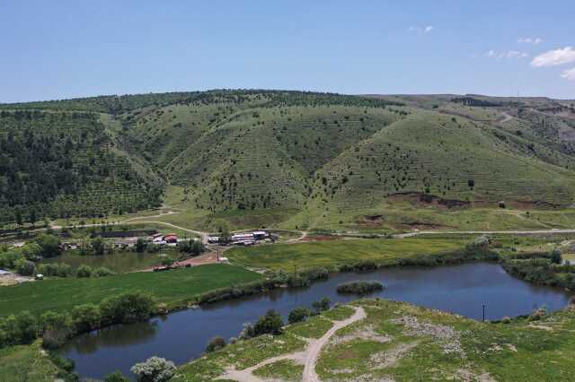 Aralıksız yağışlar Ankara'yı adeta Karadeniz'e çevirdi! Dağlar tepeler yeşil örtüyle kaplandı