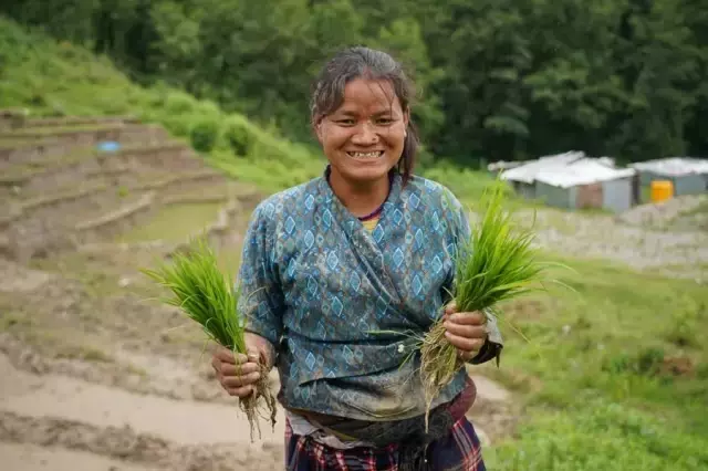 Nepal'de Ulusal Çeltik Günü Kutlandı