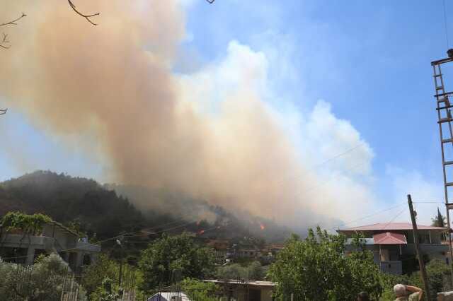 Hatay'da orman yangını: Havadan ve karadan müdahale başladı