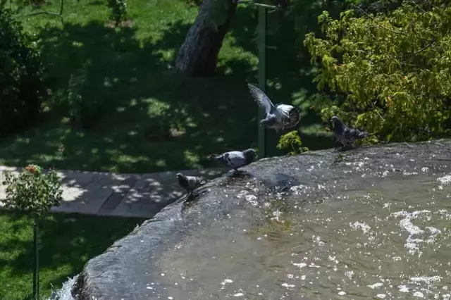 Türkiye'yi Etkisi Altına Alan Sıcak Hava Dalgası Devam Ediyor