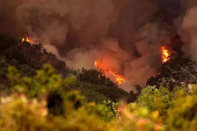 İspanya'nın Tenerife Adası'nda Orman Yangını Kontrolden Çıktı