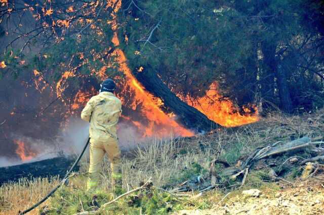 Çanakkale'de bir türlü söndürülemeyen yangının başlama anları