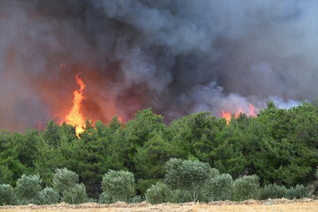 Çanakkale'deki orman yangınında 11 köy tahliye edildi
