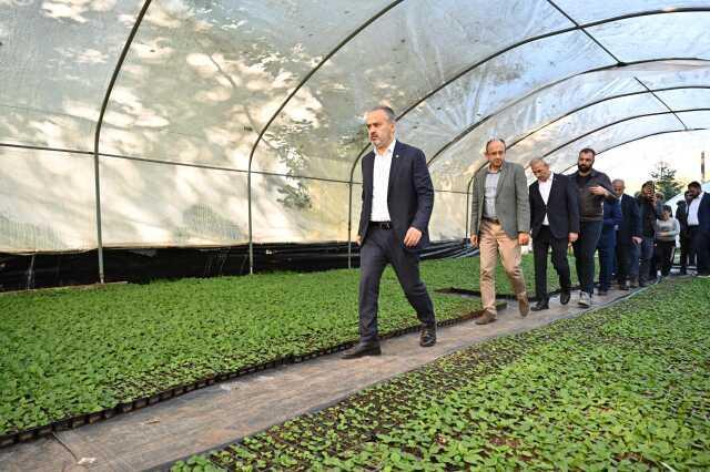 Bursa'nın Çiçekleri Kelesli Çiftçilerin Emeğiyle Açıyor