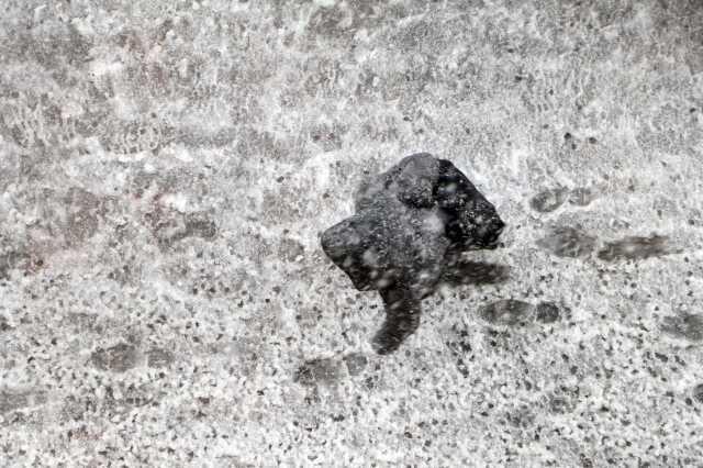 Erzurum'da 3 İlçede Okullar Tatil Edildi