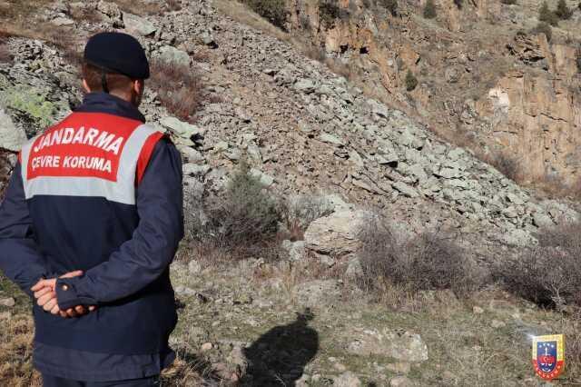 Jandarma'nın paylaştığı fotoğraf olay oldu: Vaşağı görüyor musunuz?