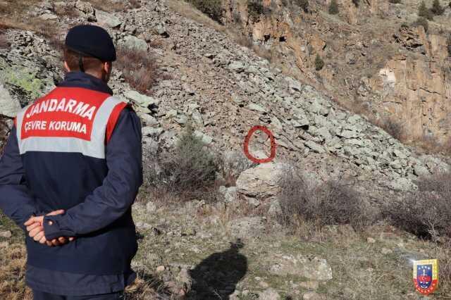 Jandarma'nın paylaştığı fotoğraf olay oldu: Vaşağı görüyor musunuz?