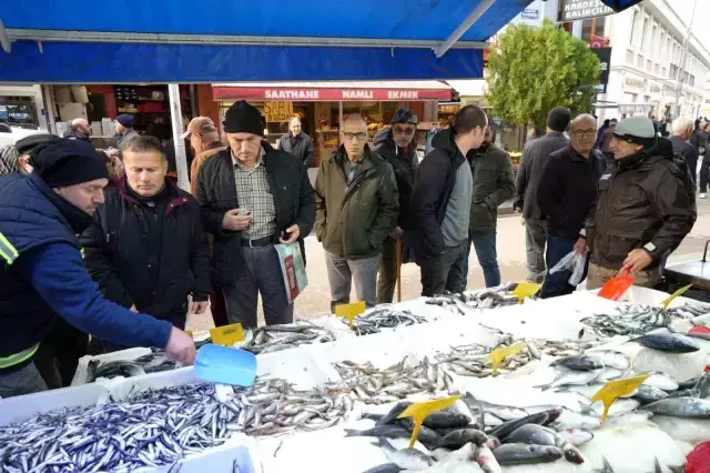 Vatandaşlar kilosu 50 liradan satılan hamsiden alabilmek için birbiriyle yarıştı