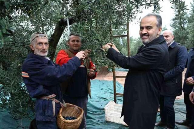 Bursa Büyükşehir Belediyesi, 2023'te de Tarımsal Desteklerini Sürdürdü