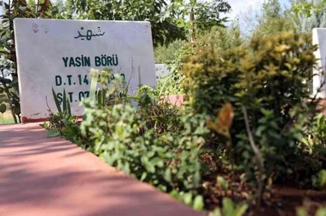 Rekor cezaların verildiği Kobani olayları nasıl başladı?