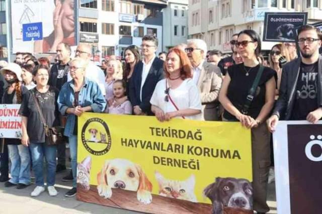 Tekirdağ Kent Konseyi, Sokak Hayvanları Yasa Tasarısını Protesto Etti
