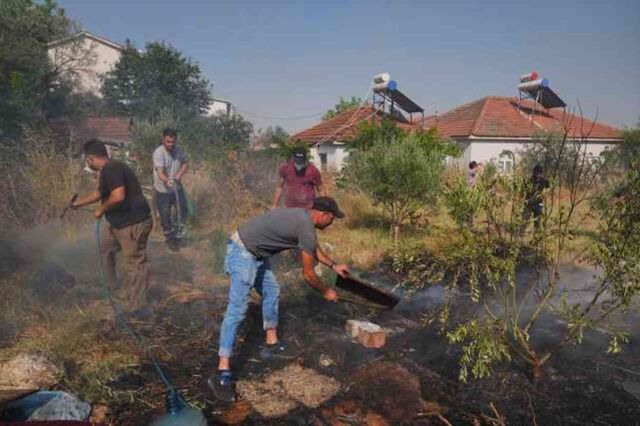 İzmir'in 5 ilçesinde orman yangını! Bakan Yumaklı bölgeye gidiyor