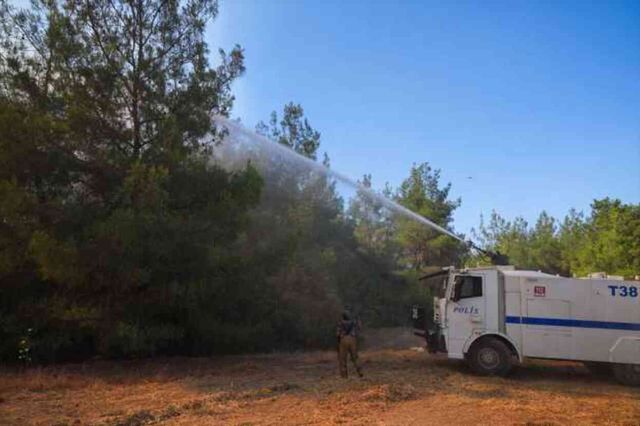 İzmir'in 5 ilçesinde orman yangını! Bakan Yumaklı bölgeye gidiyor