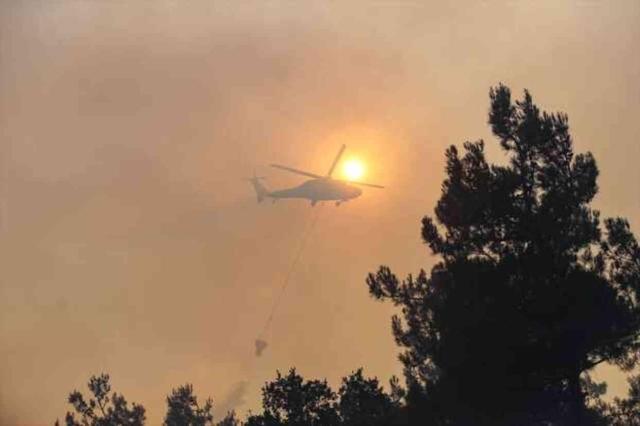 Bursa'daki anız yangını Uludağ Üniversitesi'ndeki ormanlık alana sıçradı