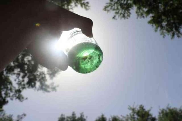 Kovanından yeşil bal çıktı! İşin sırrı araştırmalarla ortaya çıkacak