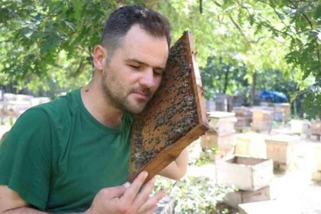 Kovanından yeşil bal çıktı! İşin sırrı araştırmalarla ortaya çıkacak