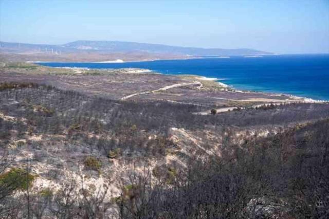 İzmir Çeşme'de 3 kişinin can verdiği orman yangınına ilişkin 4 kişi gözaltına alındı