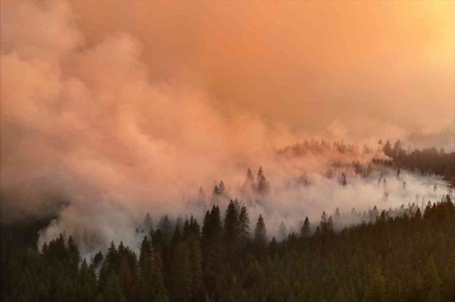 California tarihinin en büyük 4. orman yangını: 400 bin dönümden fazla alan kül oldu