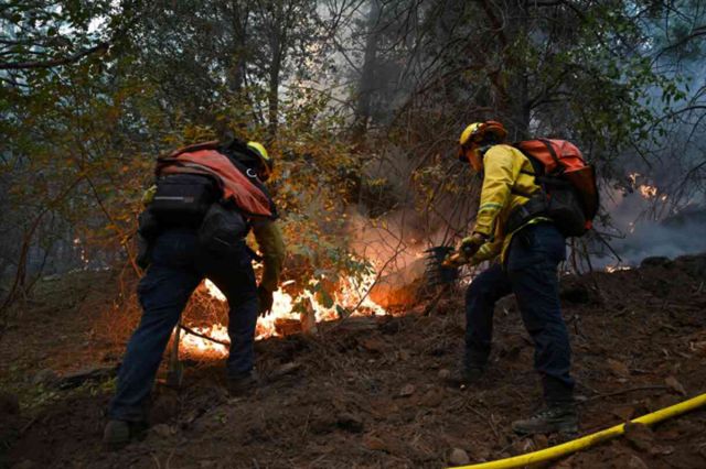 California tarihinin en büyük 4. orman yangını: 400 bin dönümden fazla alan kül oldu