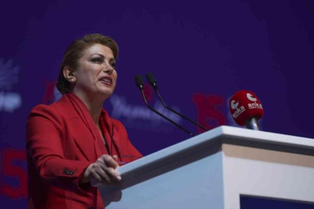 Asu Kaya kimdir? CHP Kadın Kolları Başkanı Asu Kaya kaç yaşında ve nereli?