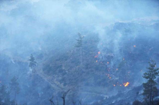 SON DAKİKA: DALAMAN'DA YANGIN! Dalaman'daki yangın söndürüldü mü?