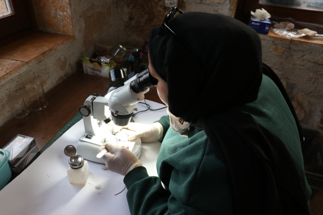 Dünyadaki ikinci örneği Anadolu'da bulundu: Tam 1600 yıllık