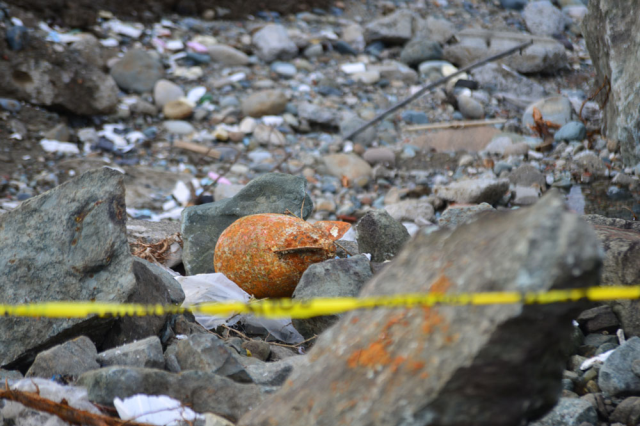 Sahil kenarında bulundu, ekipler kimseyi yaklaştırmadı