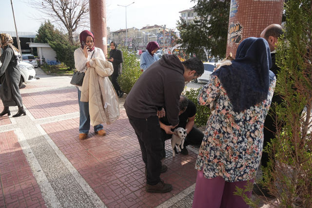 Bursa depremi İstanbul depremini tetikler mi? Prof. Bektaş açıkladı