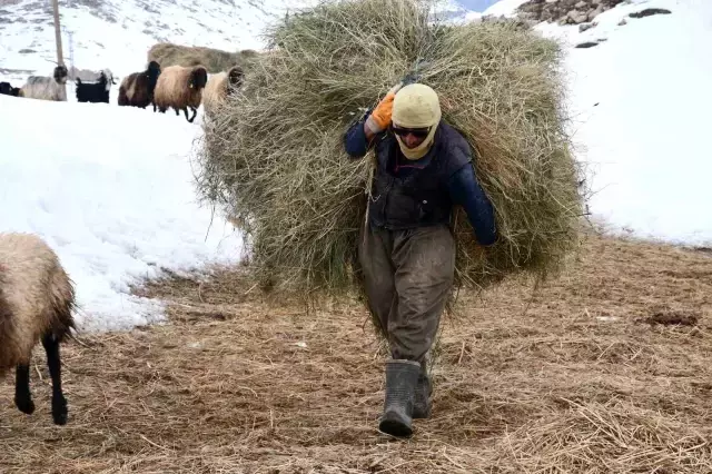 Sadece 1 ay okula gitti, 20 yıldır dağda yaşıyor