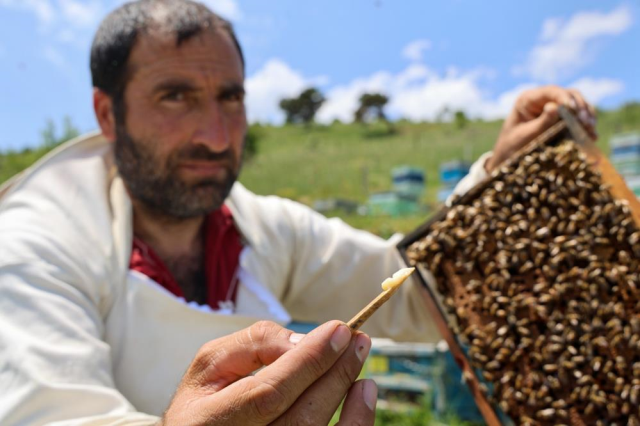 Dünyanın en pahalı yiyeceği! Kilosu 45 bin lira, sadece 2 çay kaşığı üretiliyor