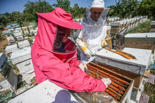 Bursa'da 4 arkadaş eşleriyle ürettikleri arı sütünü yurdun dört bir yanına gönderiyor