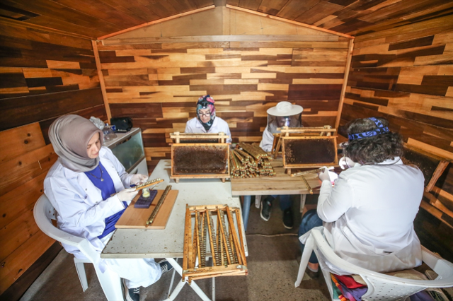 Bursa'da 4 arkadaş eşleriyle ürettikleri arı sütünü yurdun dört bir yanına gönderiyor